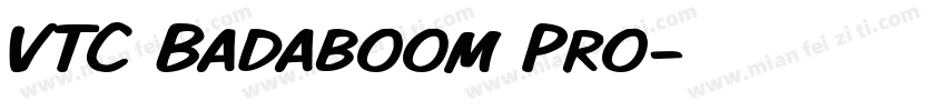VTC Badaboom Pro字体转换